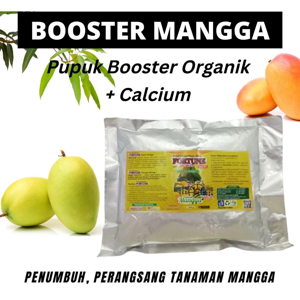 Pupuk Mangga Organik Cepat Berbuah, Pupuk Booster Perangsang Buah Mangga