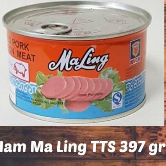 

Sale | KF7 | Ham babi 397 gr merk TTS , kaleng putih. FREE Bubble wrap + kardus expd 2024