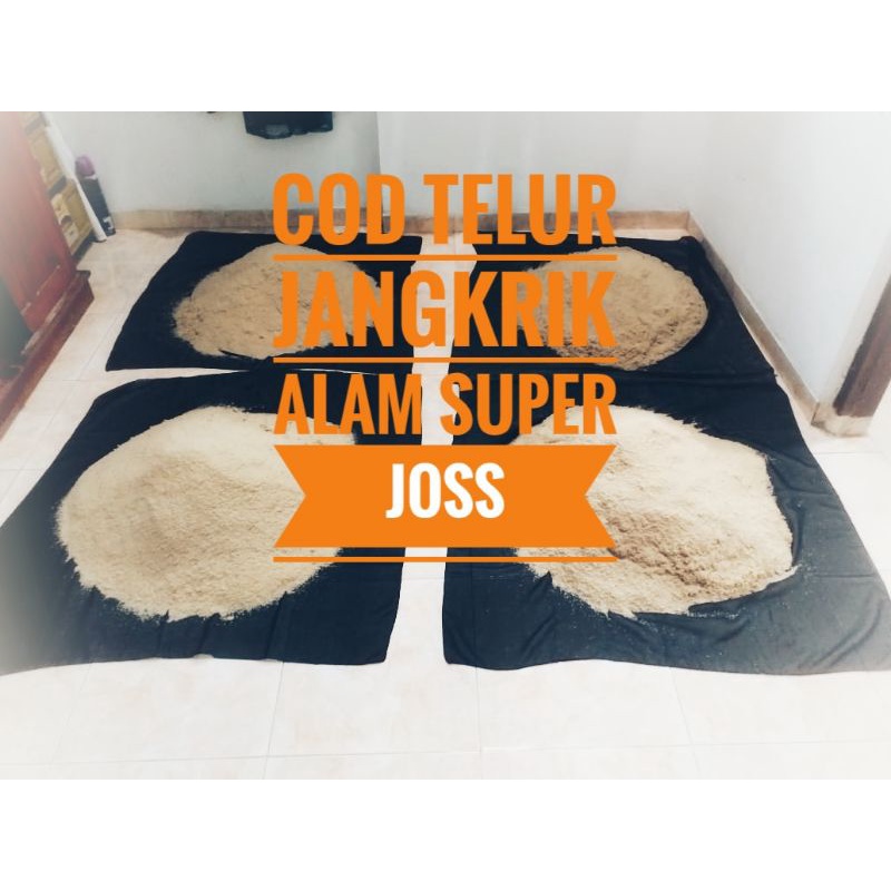 COD Telur Jangkrik Alam 250gram 1/4kg Super Grade