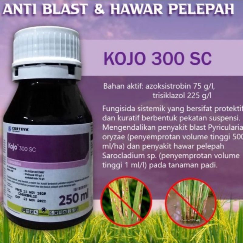 Fungisida Kojo 300sc 250ml