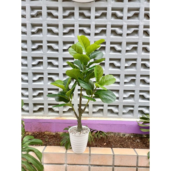 POHON KETAPANG ARTIFICIALS POHON PALSU