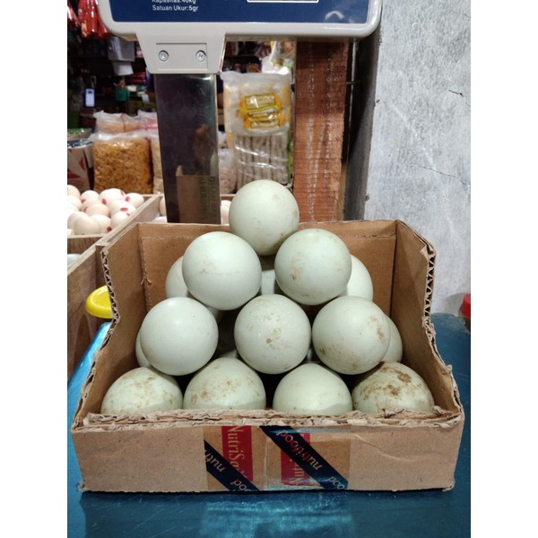 

telur bebek 1 butir