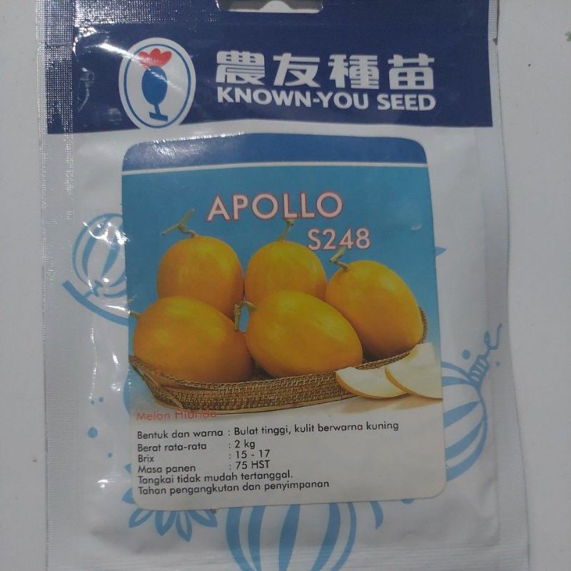 Benih Melon Golden Apollo 20g Original Pabrik exp 4-2026