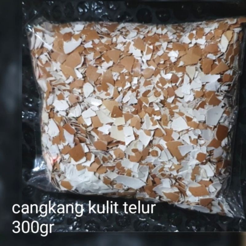 Cangkang Kulit Telur Ayam Kasar/Pupuk Kalsium Organik Alami/Prakarya Sekolah