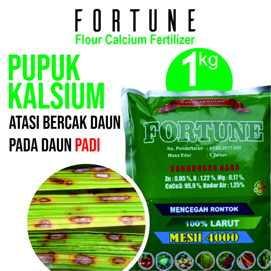 Fungisida Bercak Daun Padi Paling Bagus Fortune 1 Kg - Obat Bercak Daun Padi, Obat Bercak Daun Kuning Padi, Obat Bercak Daun Coklat Padi, Obat Bercak Daun Hitam Pada Padi - Pupuk Fungisida Bercak Daun Padi Paling Bagus 100% Ampuh