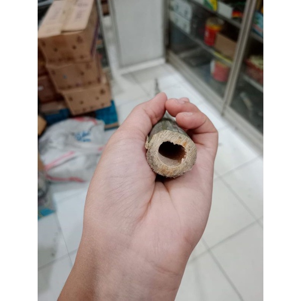 Bambu (kulit tebal) jadi tidak mudah patah - Gagang sapu - bambu padat - Pet Control