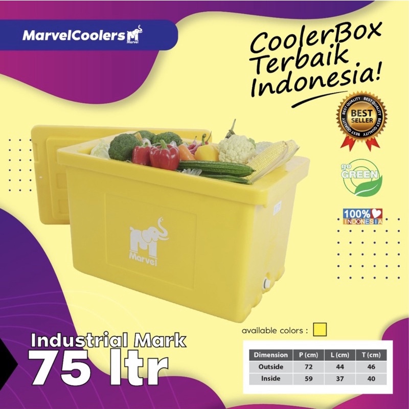 Box Es 75 Liter / MarvelCooler 75 Liter