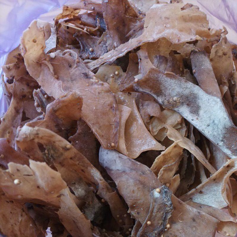 

KERUPUK RAMBAK KULIT KAMBING MENTAH