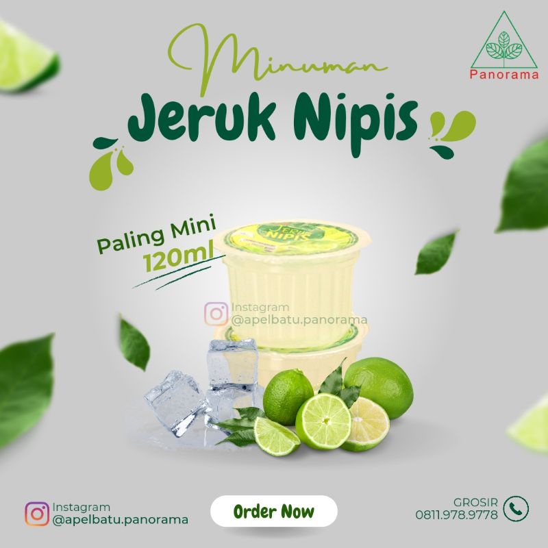 

Minuman Buah JERUK NIPIS 120ml isi 40 cup