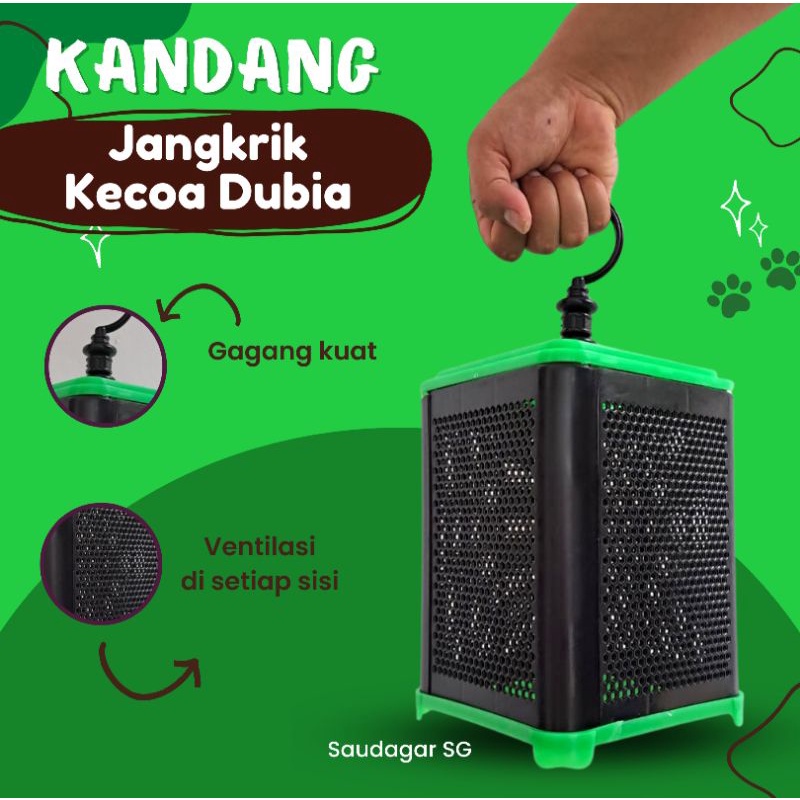 Kandang Jangkrik/Kecoa Dubia