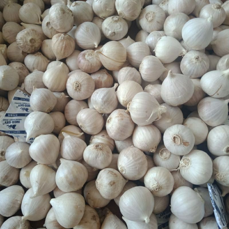 

Bawang putih tunggal/ lanang 1kg