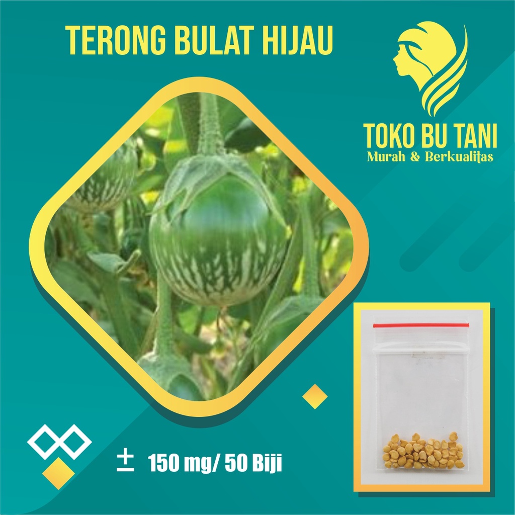 Paket Benih Sayur Lalap Siap Semai Terjangkau