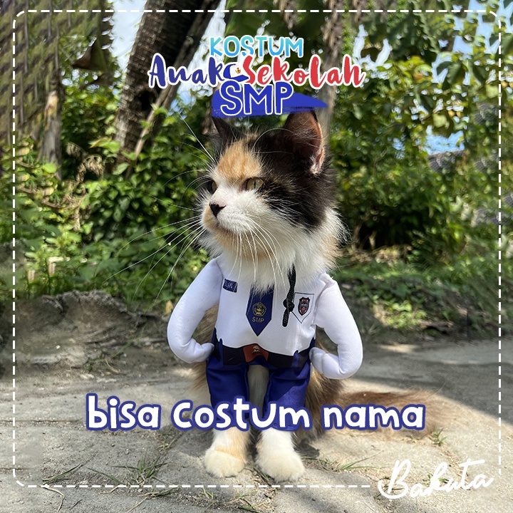 Kostum Anak Sekolah untuk kucing dan anjing Baju Berdiri anak SMP / Kostum kucing Murah / Baju Kucing Tangerang size S-XL