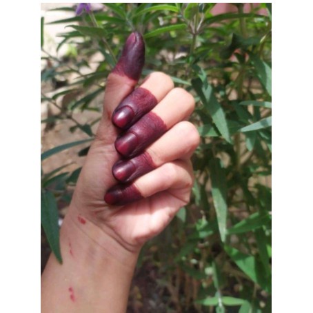 henna inai celup warna Maroon dan Red Cherry