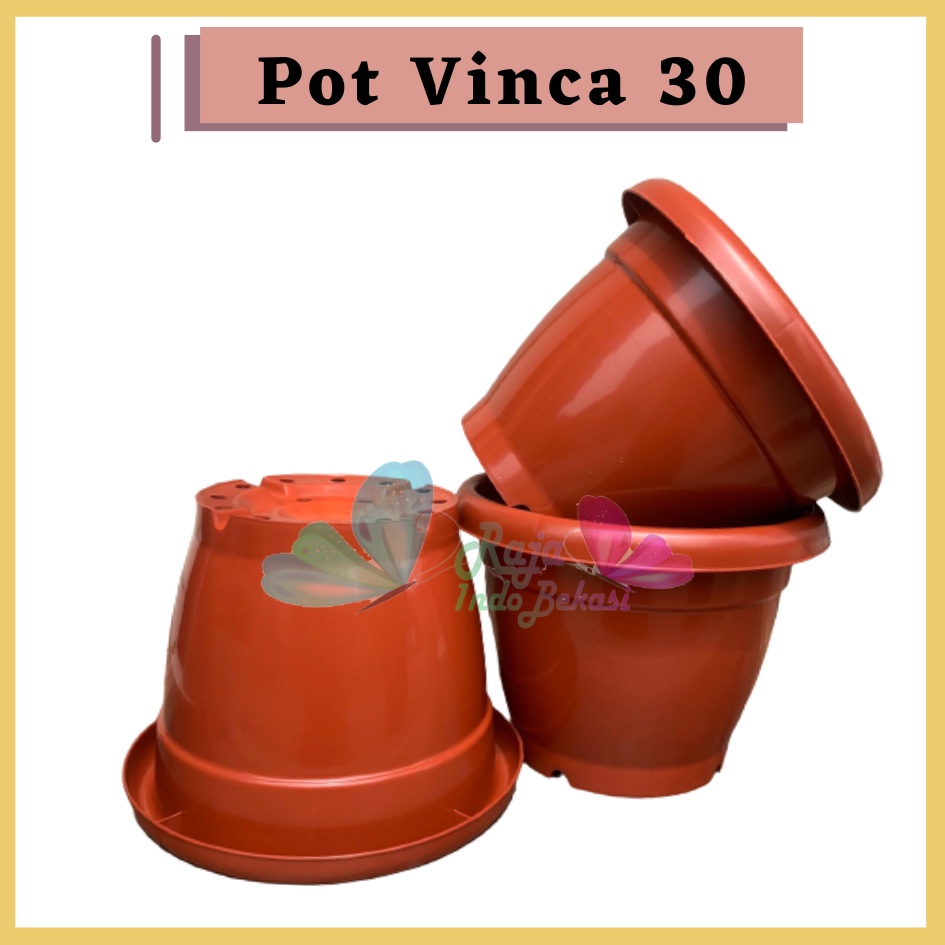 Pot Gentong VINCA 30 COKLAT Pot Plastik Bunga Jumbo Besar Tebal Murah Tanaman Bkn Pot Tawon 30 Pot Tulip 45 20 30 Galaxy 25 40-Pot Bunga Putih 30 Strawberry | Pot Tanaman Plastik Besar