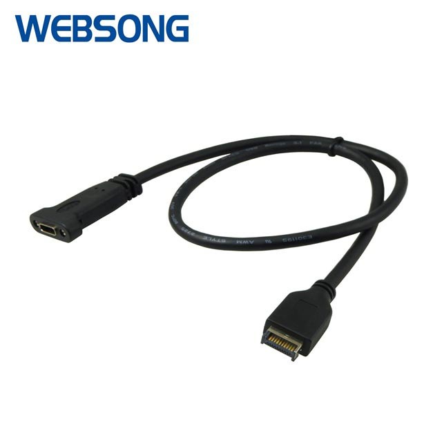 Kabel Type C 3.1 F to Type C Front Panel Header Websong