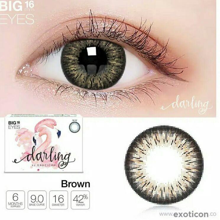 Update Populer SOFTLENS DARLING BROWN MINUS -0.50 S/D -6.00