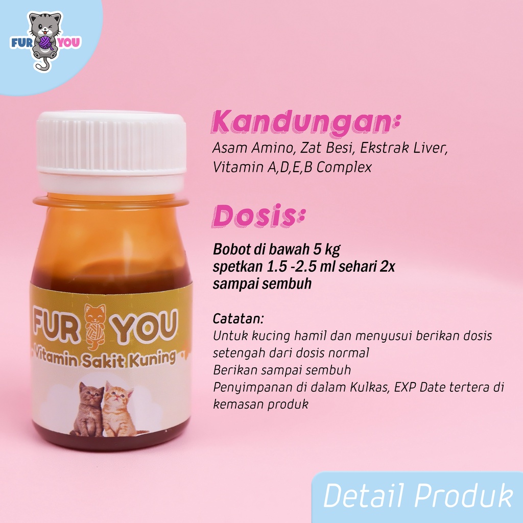 Vitamin untuk Kucing Anabul Sakit Kuning Hepatitis Pucat dan Pemulihan Setelah Sakit