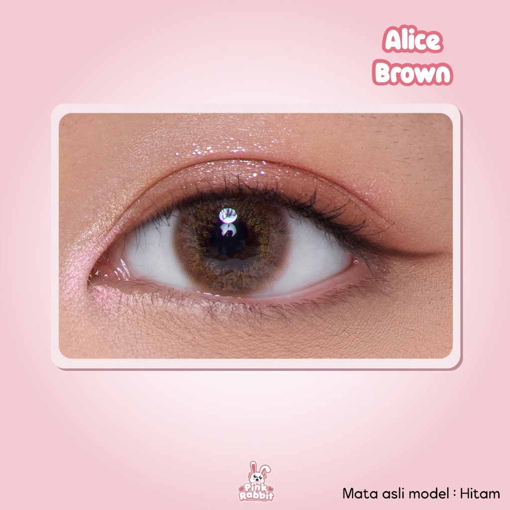 Pink Rabbit Softlens Minus Alice Brown Soflens Coklat