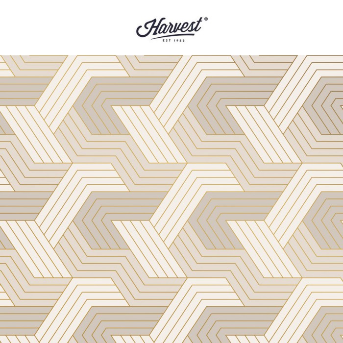 

Kertas Kado Harvest / Wrapping Paper Dreamland - Grey