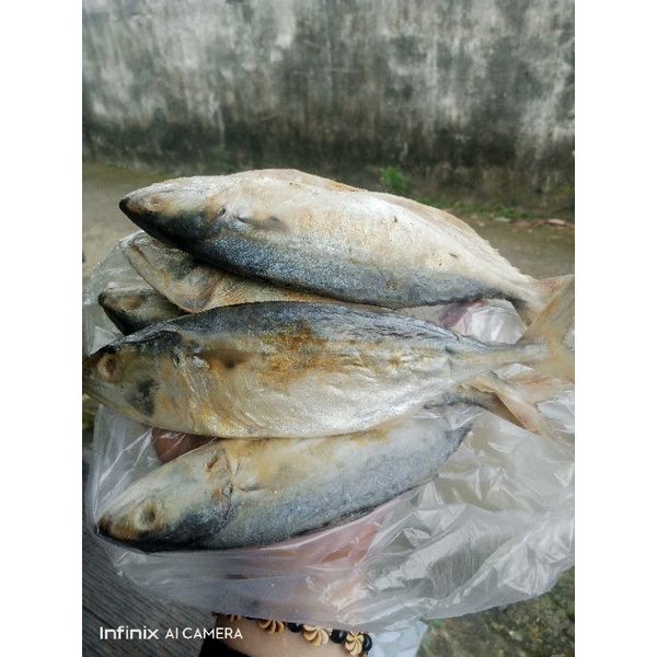 

500gr IKAN ASIN PEDO PUTIH