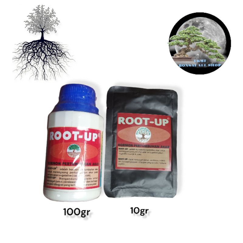 ROOT - UP perangsang akar