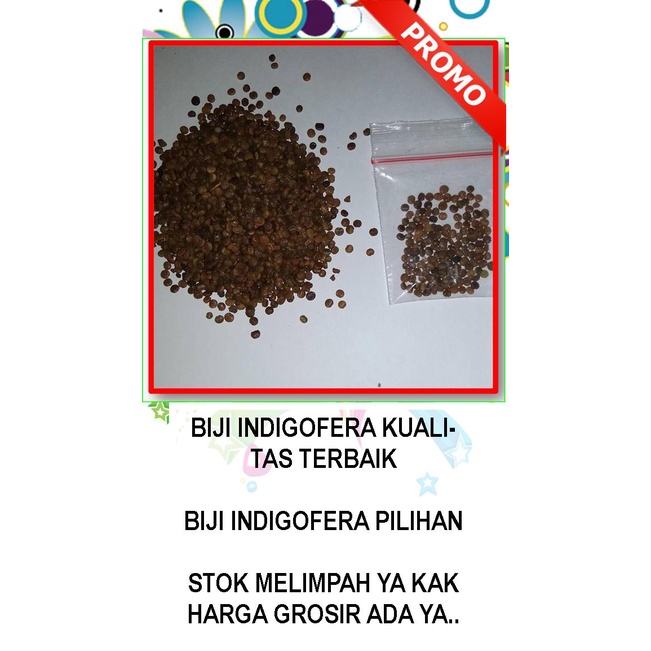 PROMO 7.7 Biji Indigofera, Benih Indigofera Terbaik, Biji Indigofera 400 Biji + Bonus 40 Biji Indigo