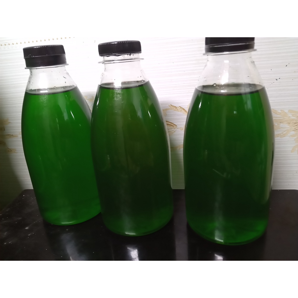 

TERIMA MAKLON sirup homemade
