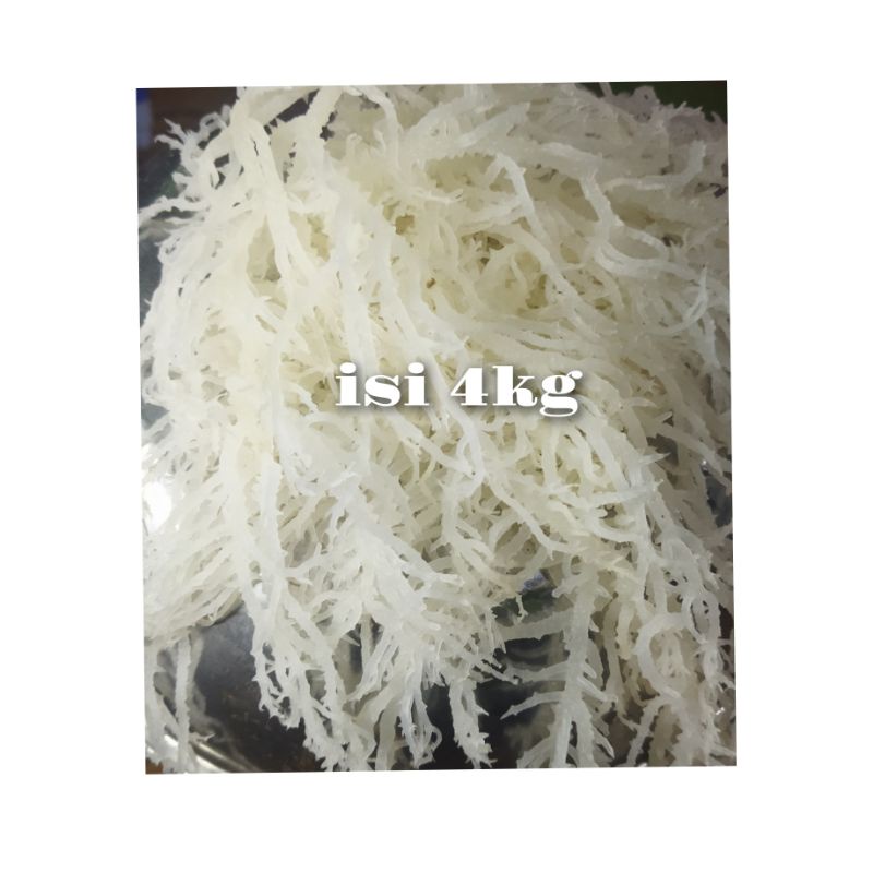 

Rumput laut jenis spinosium original isi 1kg