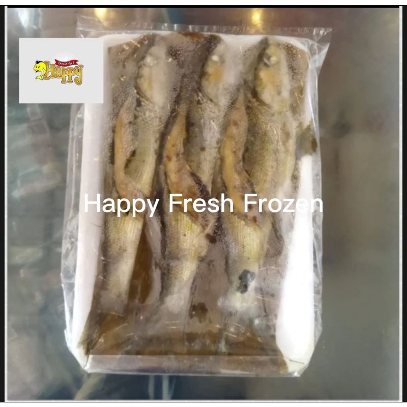 

Bandeng Presto Siap Masak Beku Frozen Isi 3 Ekor