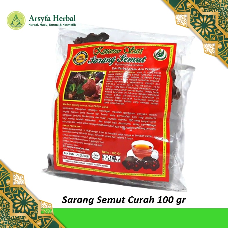 

SARMUT SARANG SEMUT CURAH REBUS KENCONO SARI 100 Gram Sarang Semut Asli Papua