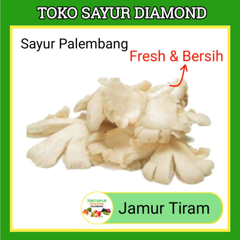

Jamur Tiram - Palembang