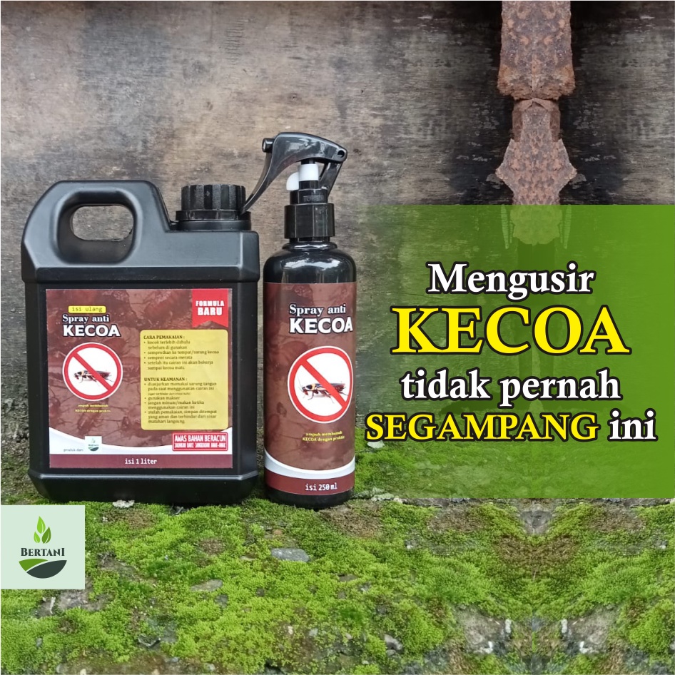 Obat Kecoa / Pembasmi Kecoa / Racun Kecoa SUPER AMPUH untuk di rumah dan kendaraan (PAKET 1LITER+250ml)