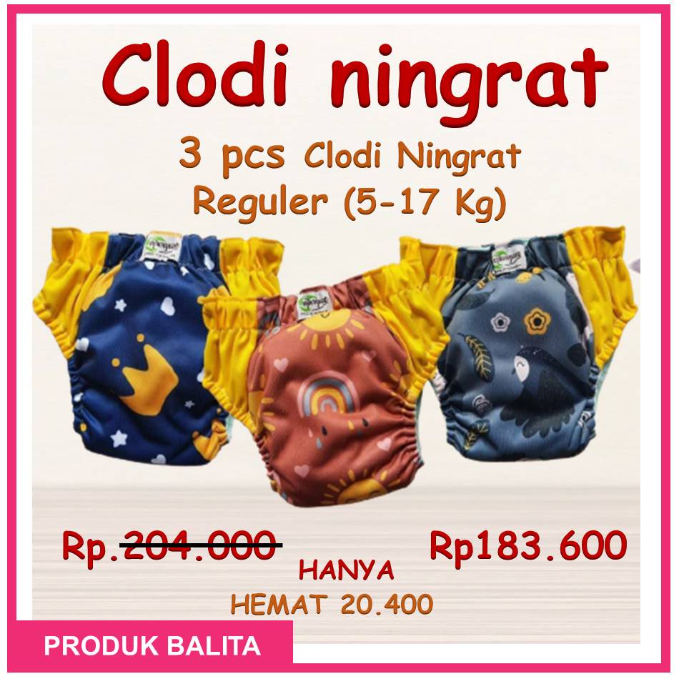 Paket Murah 3 PCS Clodi Ningrat Reguler BB 5-17KG Popok Kain Cuci Ulang Pempers Kain ALL IN ONE Terlaris