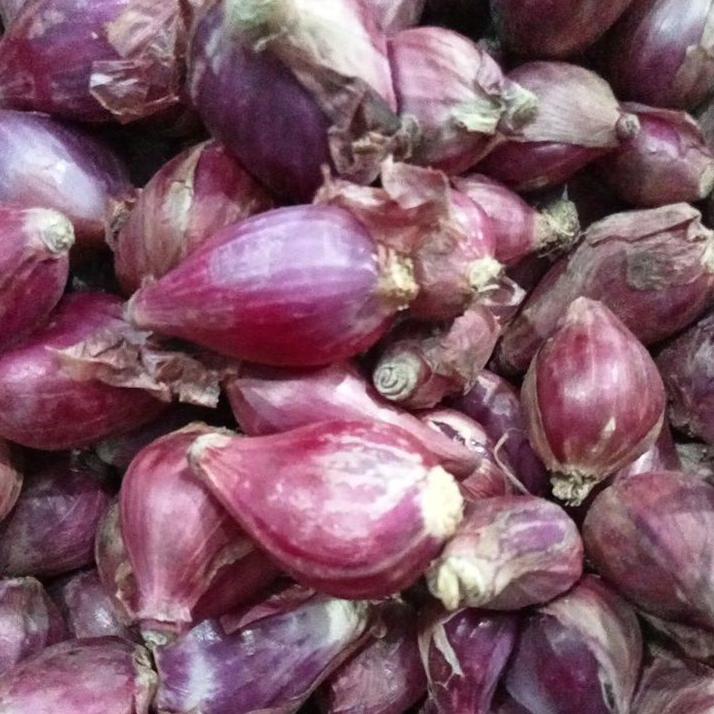 

AIL654 BAWANG MERAH BREBES UKURAN SEDANG 1 KG +