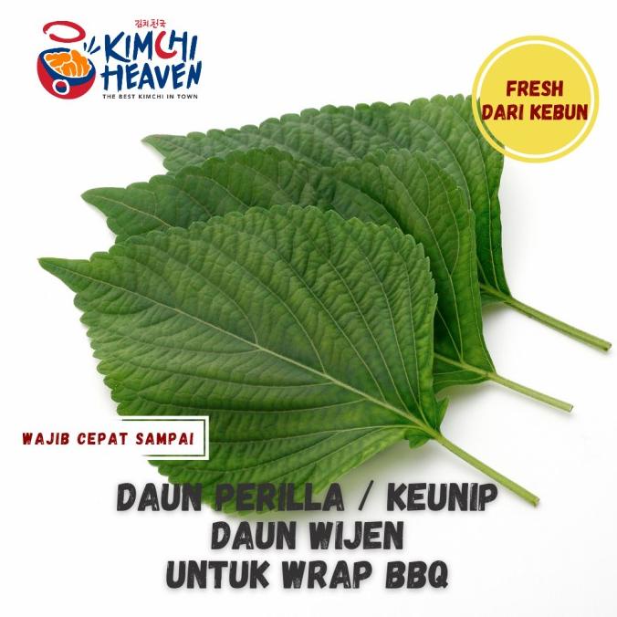 

DAUN PERILLA /KNIP / SISHO/ DAUN WIJEN SEGAR 200G