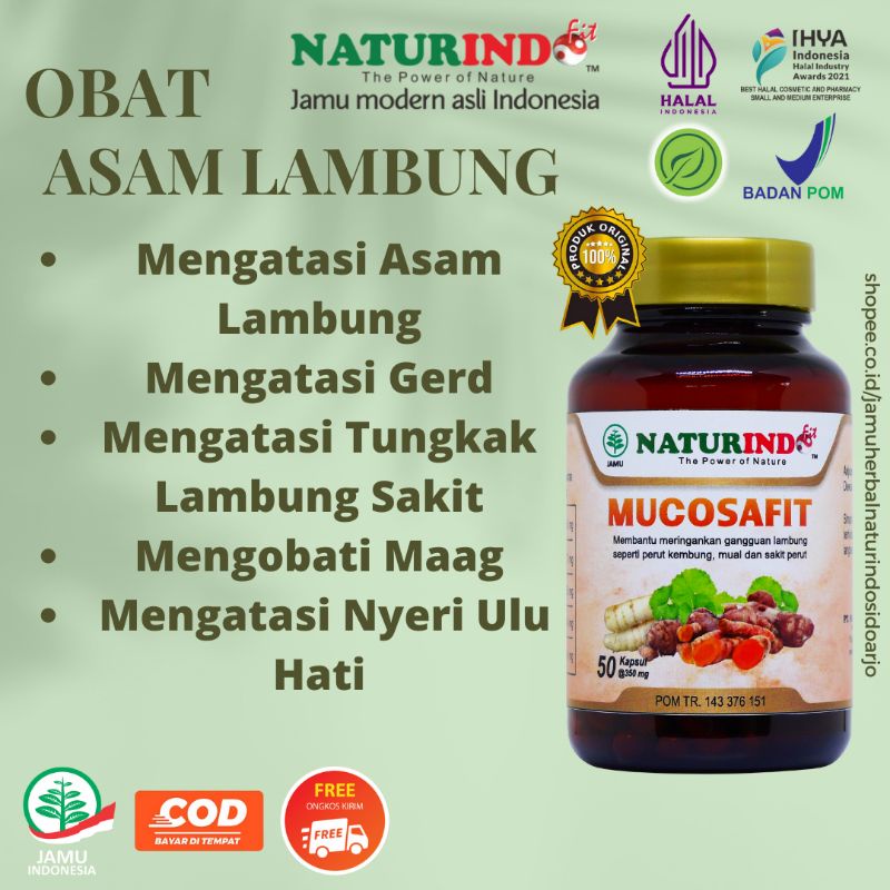 Jual Obat Asam Lambung Maag Magh Mah Gerd Kronis Tungkak Lambung Mual ...