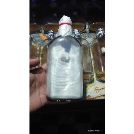 

FO Jamur Tiram Coklat