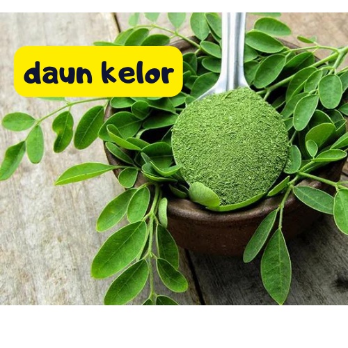 daun kelor segar 500 gr