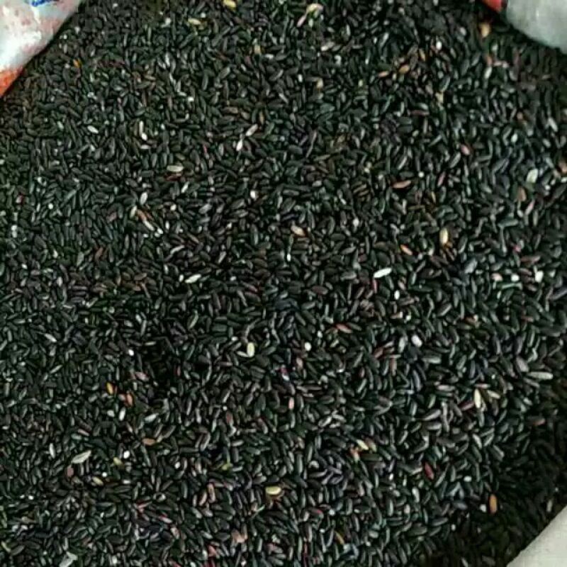 

beras ketan hitam 1 kilo