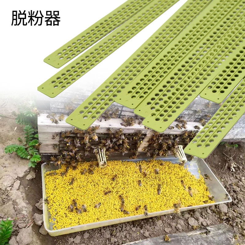 Bee Polen / Bee Pollen / Polen Bee / Pollen Bee / Serbuk Sari Lebah / Tepung Sari Lebah Trap Bee