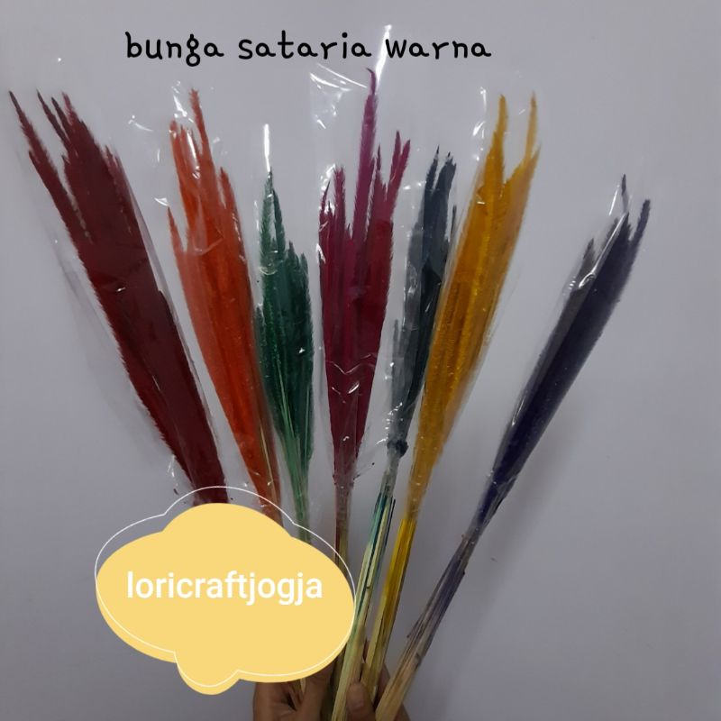 bunga kering sataria warna