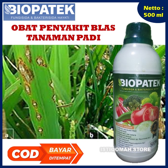 BIOPATEK 500ML Fungisida Obat Padi Kerdil Daun Kuning Terbaik Paling Ampuh - Fungisida &amp; Bakterisida Hayati Obat Padi Daun Kuning Kerdil - Obat Paling Ampuh Untuk Padi Kerdil Daun Menguning - Obat Hama Kresek Blas Hawar Padi Manjur