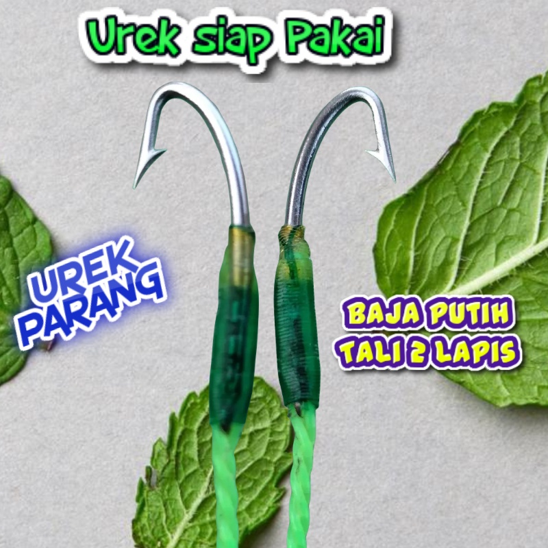 Pancing belut sawah belut rawa sungai pancing belut sidat kali belut rawa belut kolam belut kali ure