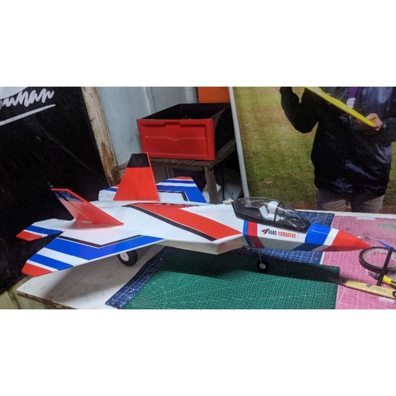 kit pesawat jet f22 raptor semi scale (baca deskripsi)