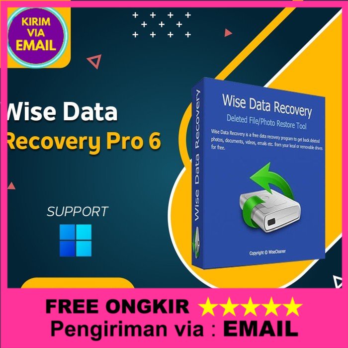 Software Recovery Data: Wise Data Recovery Pro 6 [Win] Lifetime