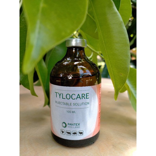 Tylocare 100ml Pantex Holland _tylosin injeksi