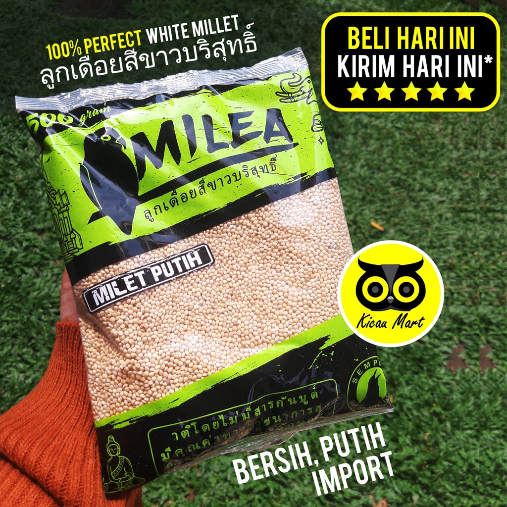 MILEA WHITE MILLET IMPORT USA BIJI MILET PUTIH 500 GRAM RACIKAN THAILAND PAKAN BURUNG LOVEBIRD MLEAS