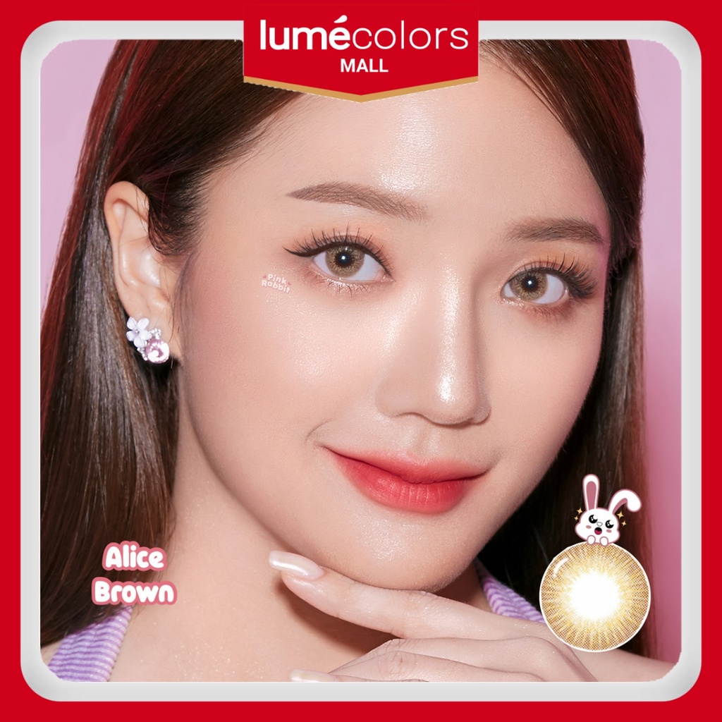 Pink Rabbit Softlens Minus Alice Brown Soflens Coklat