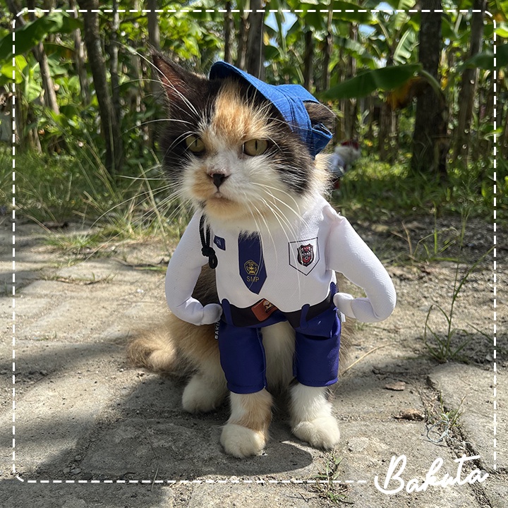 Kostum Anak Sekolah untuk kucing dan anjing Baju Berdiri anak SMP / Kostum kucing Murah / Baju Kucing Tangerang size S-XL